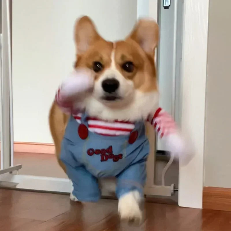 Halloween Horror Movie Cosplay Chucky Pet Dog Costume